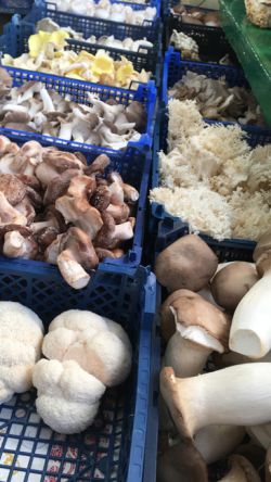 Pilze beim Hofverkauf