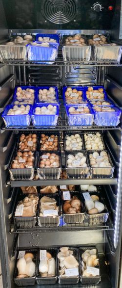 verpackte Pilze in einem Kühlschrank