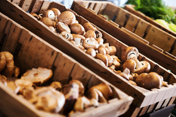 Pilze beim Wochenmarkt